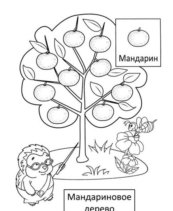 Дерево с яблоками раскраска