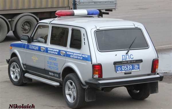 Нива 2121 вектор