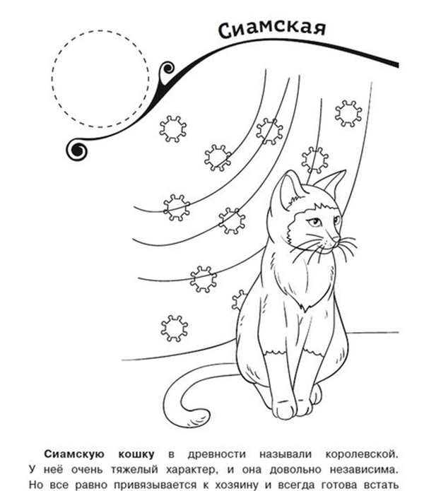 Раскраска для Души Сиамский Кот