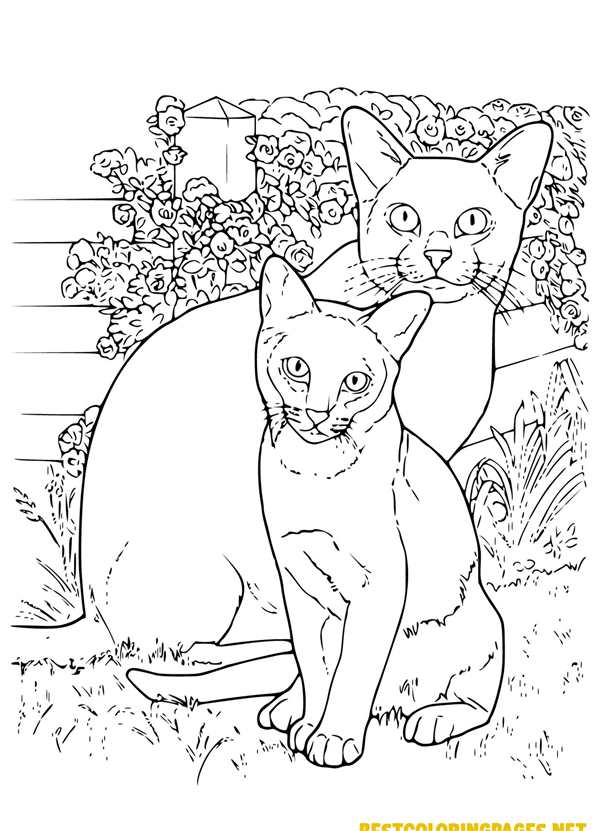 Кошка рисунок