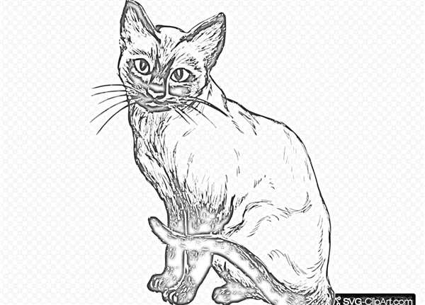 Кошки. Раскраска