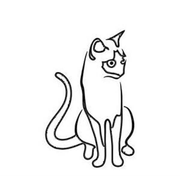 Раскраска кот