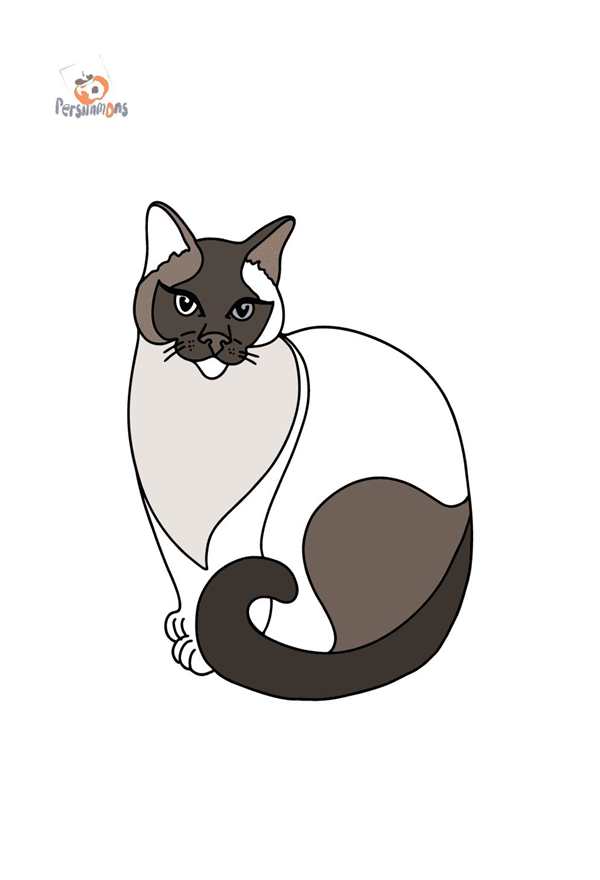 Сиамская кошка