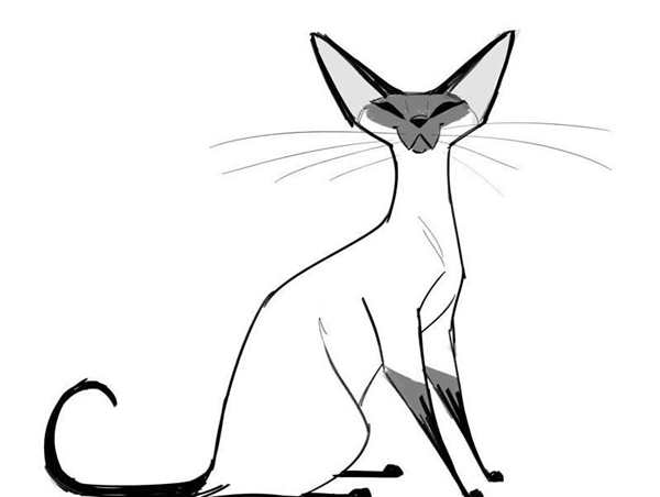 Кошка рисунок карандашом