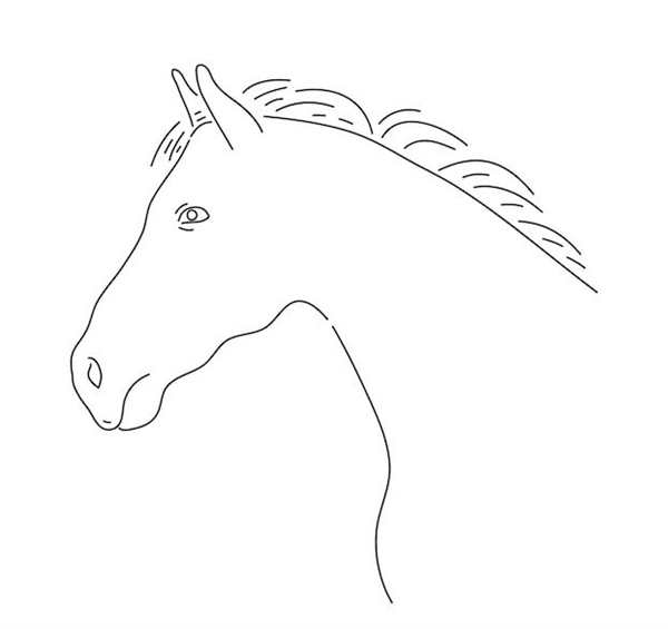 Лошадь рисунок