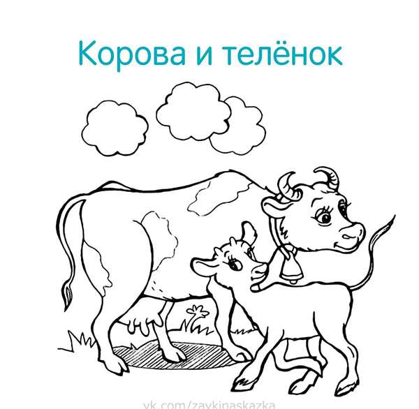 Раскраска домашние животные