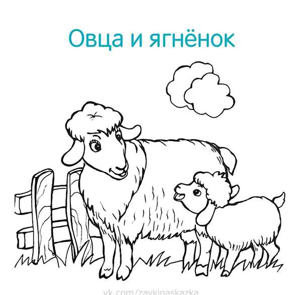 Раскраска домашних животных веселые приключения