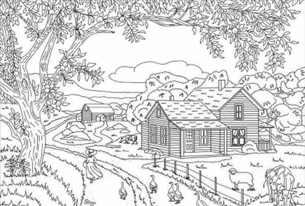 Раскраска Домик В Лесу HOUSE IN THE WOODs