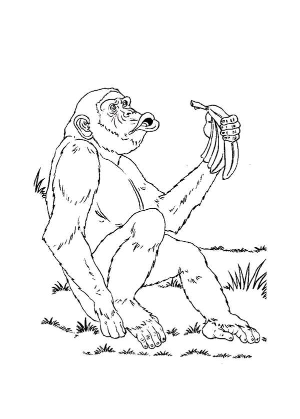 Monkey outline
