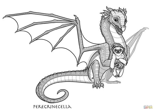 Раскраски