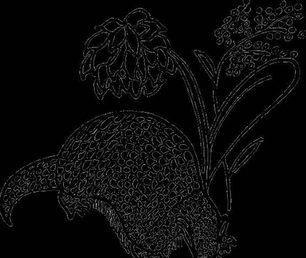 Armadillo NES