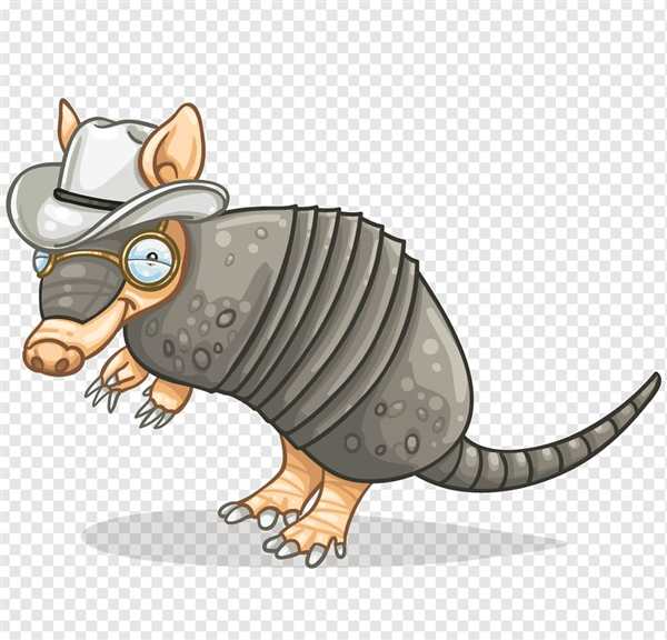 {Armadillo animal vector}