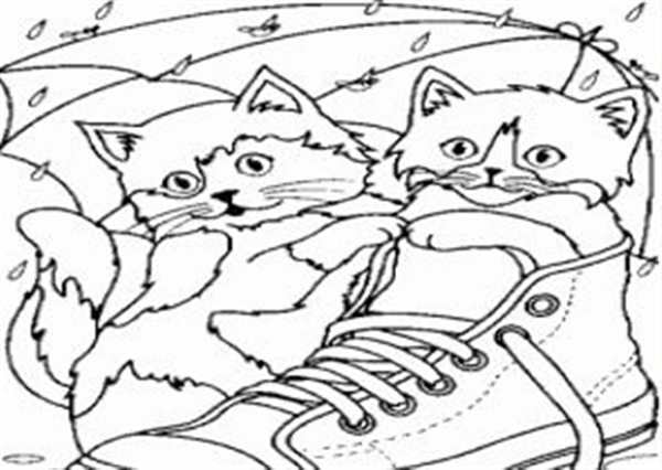 Раскраска котик с сердечком