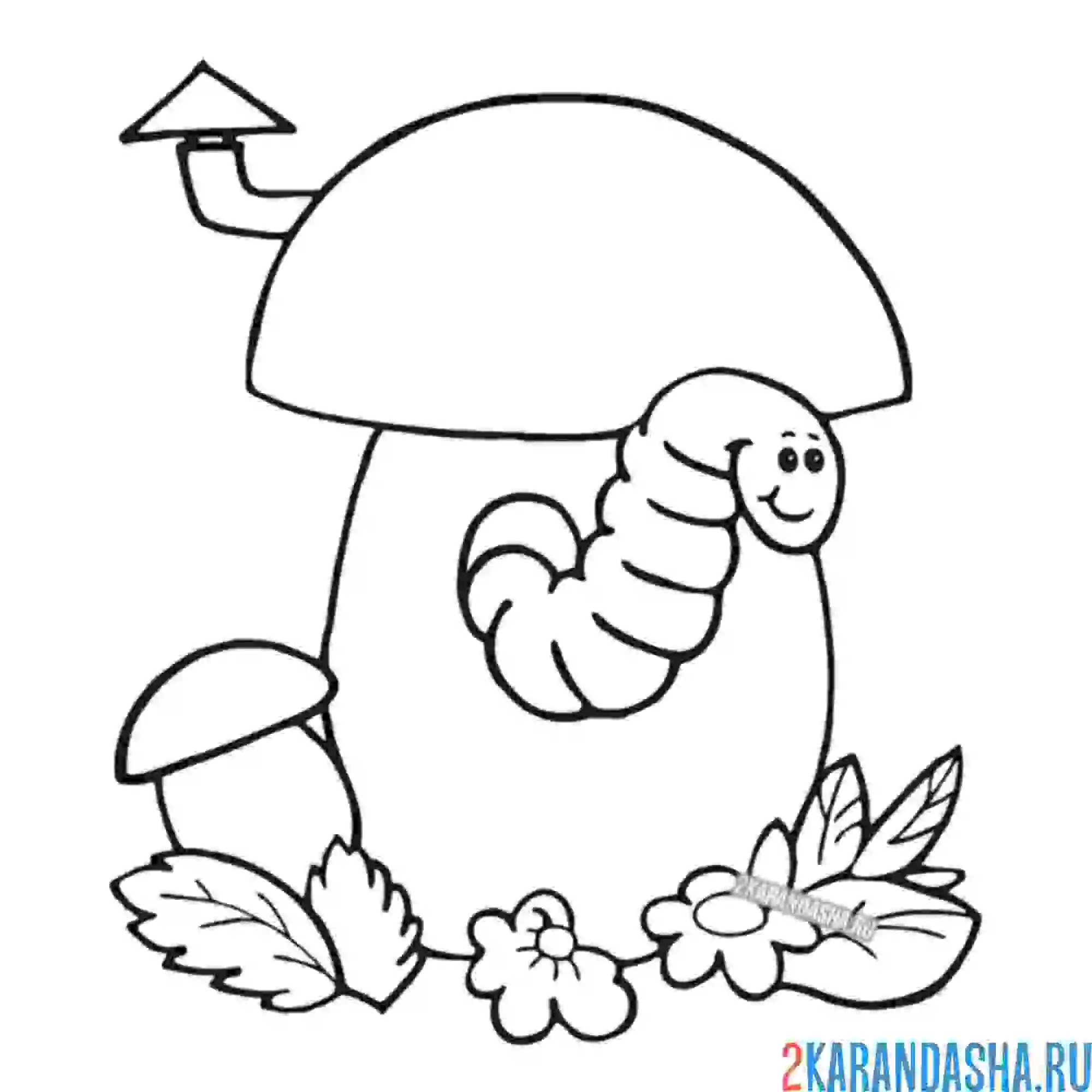 Гриб рисунок