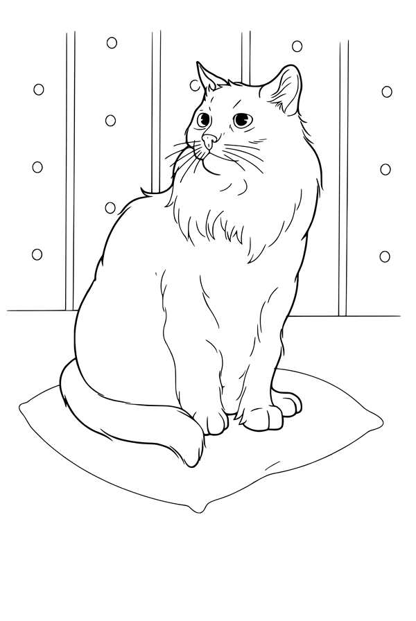 Кот раскраска для детей