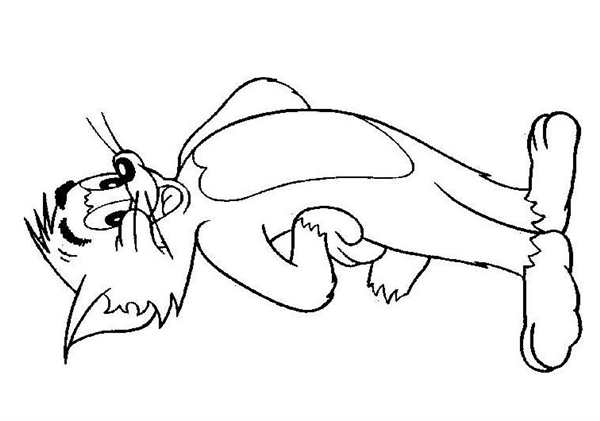 Раскраска для детей Disney Tom Jerry