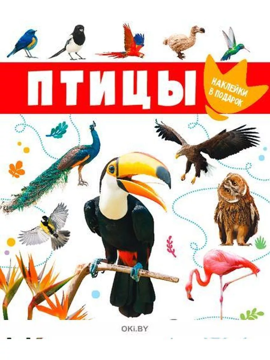 Раскраска Энциклопедия птиц Веселье и Знания в Одной Книге