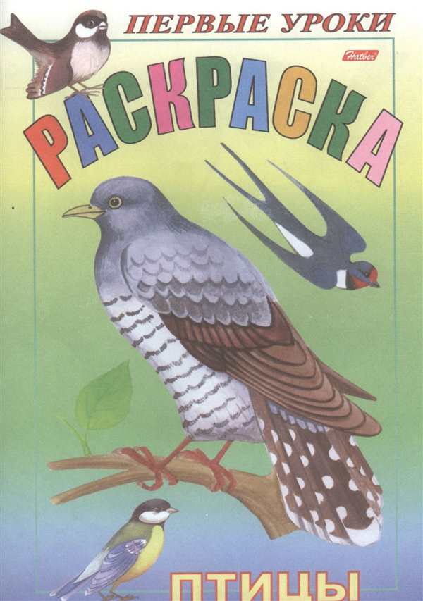 Раскраска Энциклопедия птиц Веселье и Знания в Одной Книге