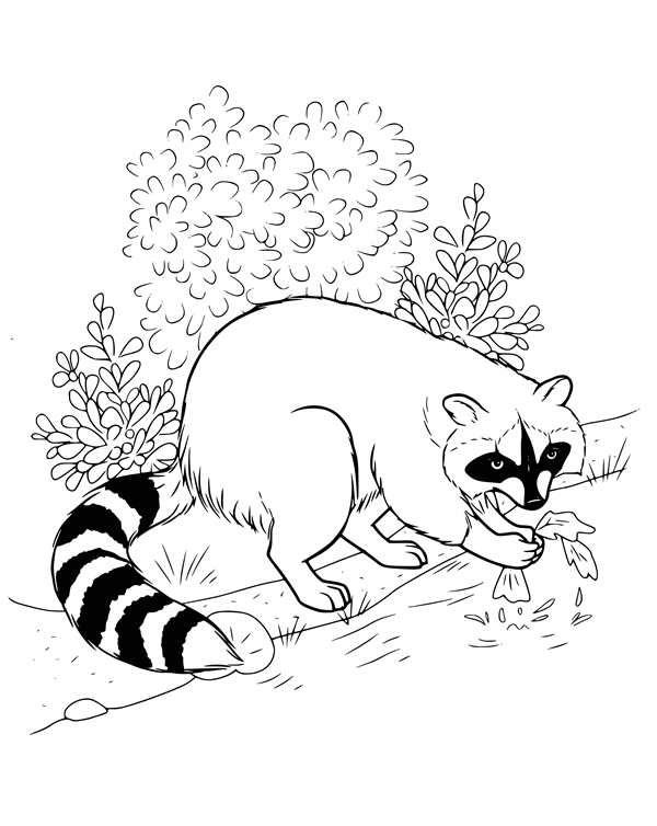 Соник раскраска Соник