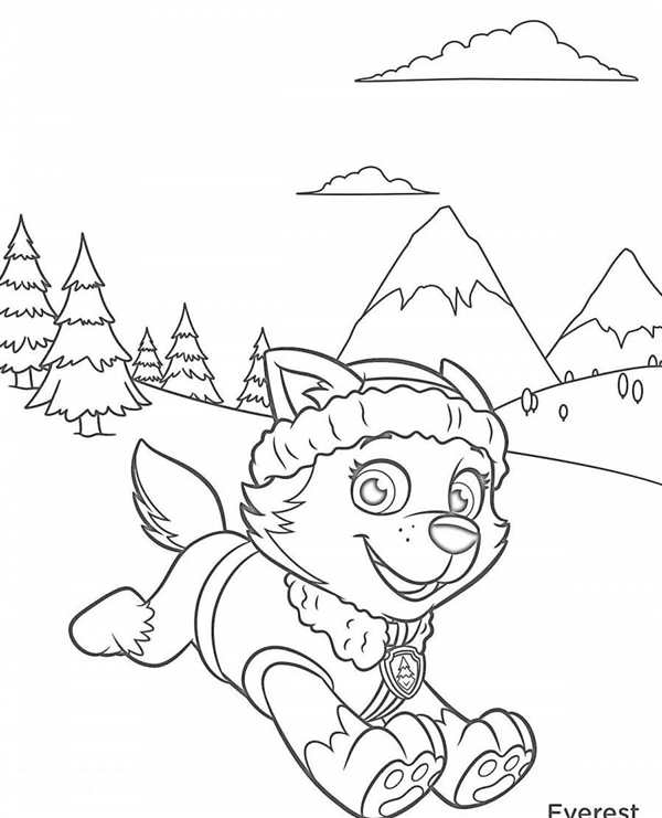 Paw Patrol раскраска