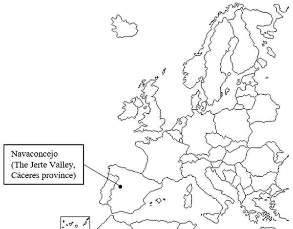 Европа очертания материка