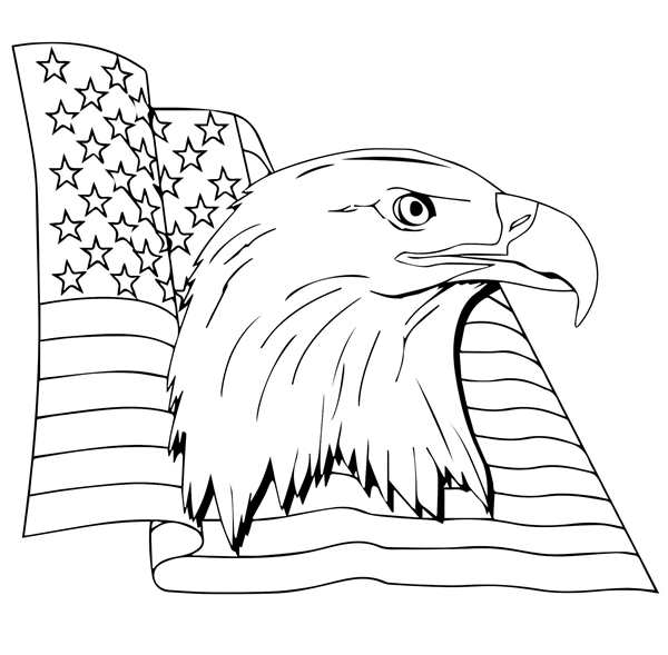 Контур США