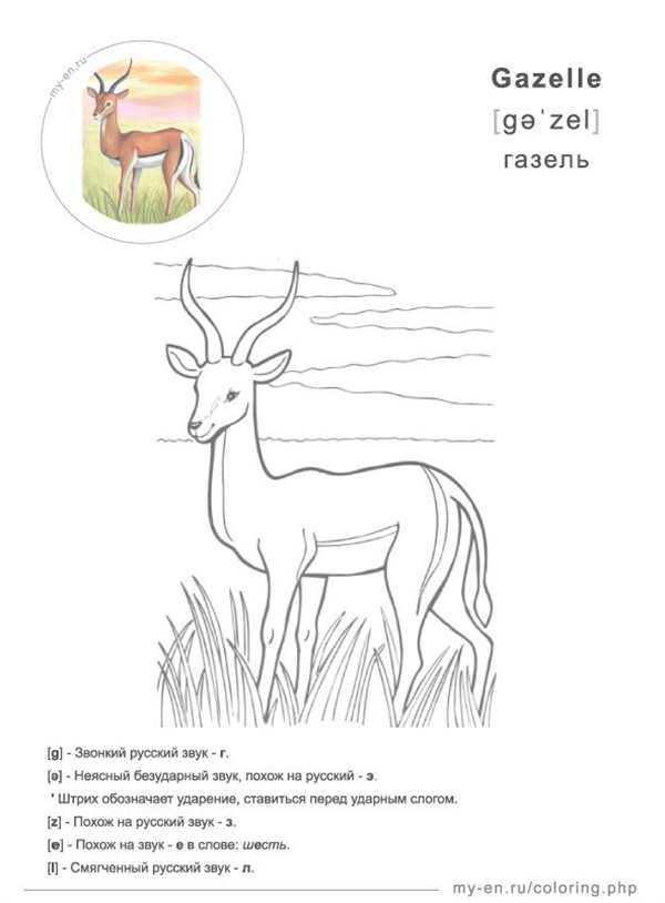 Раскраски машины Газель