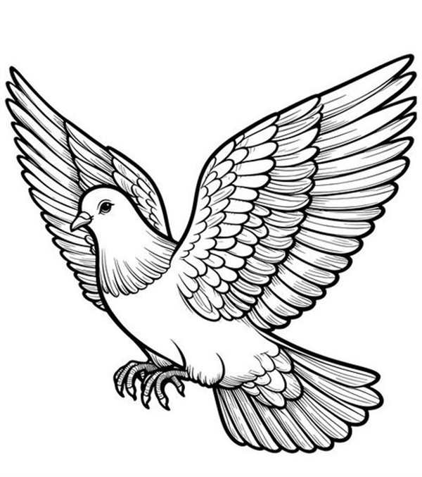 Голубь рисунок