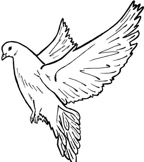 Рисунок