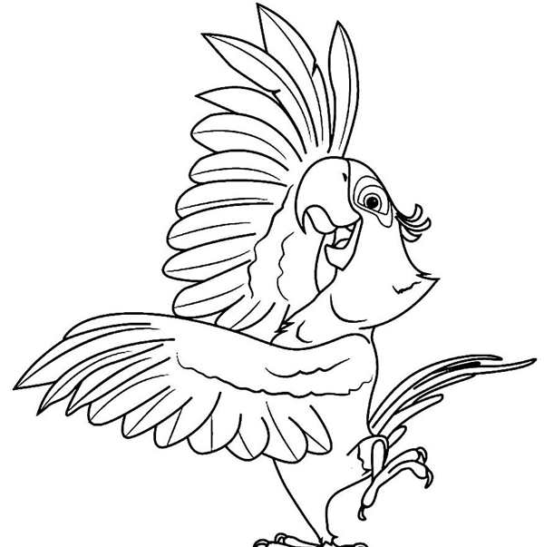 Рио раскраска