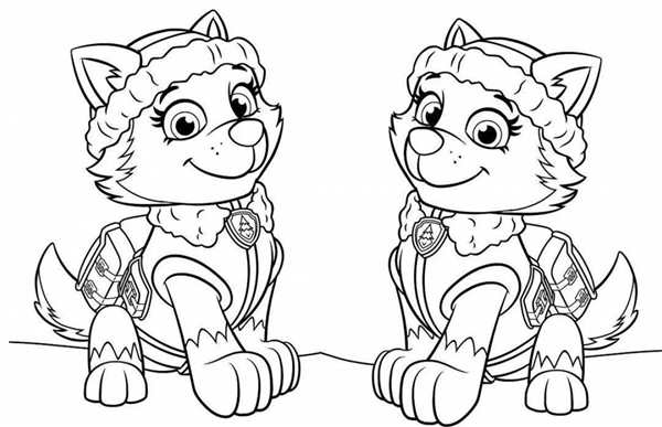 Paw Patrol раскраска