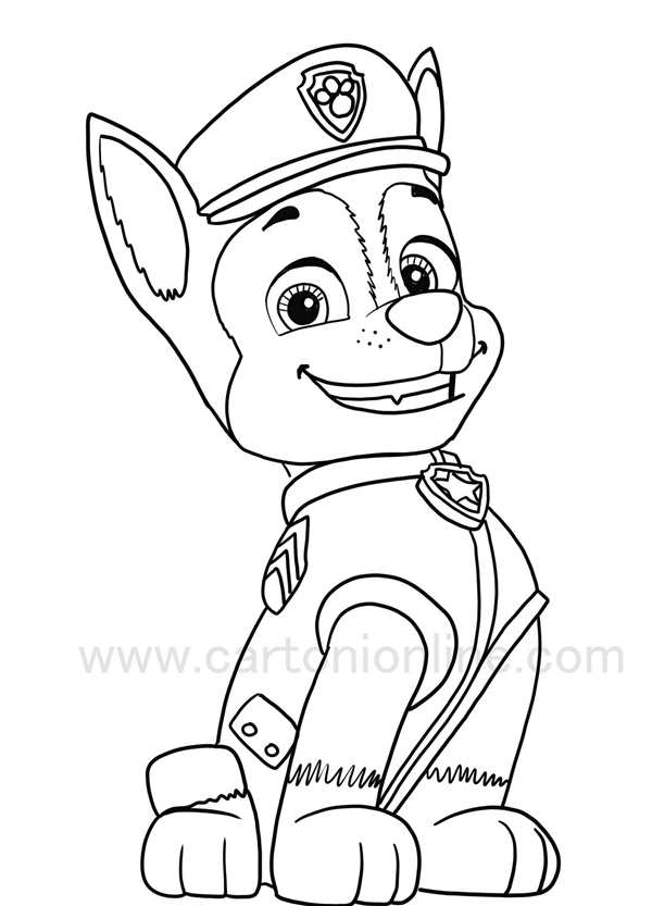 Paw Patrol Roc