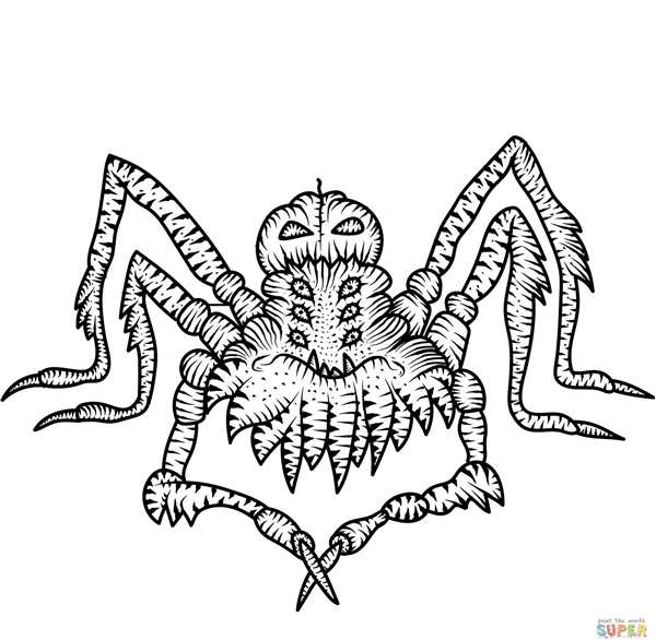 Страшный паук раскраска