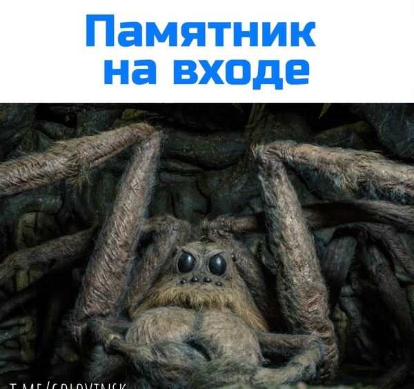 Раскраска Говорящего Паука Арагога Приключения и Воспоминания