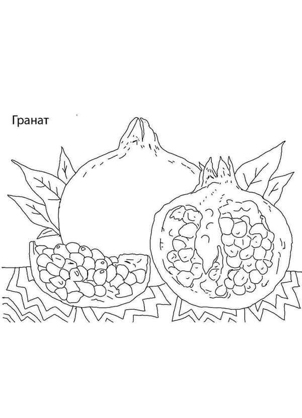 Фрукты контур