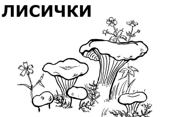 Мухомор раскраска