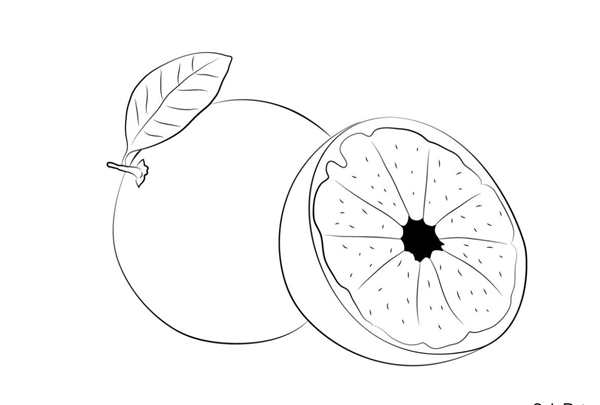 Гуава рисунок