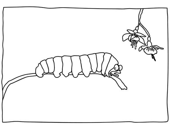 PJ Pug-a-Pillar раскраска