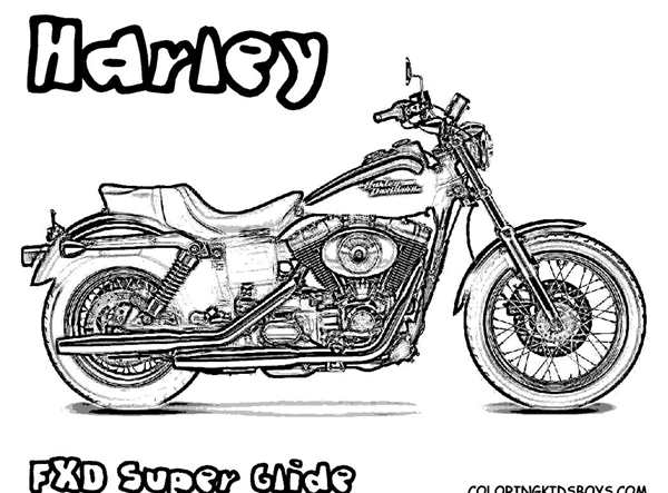Раскраска ХарлиДэвидсон Волшебный Лесной Путешествие Motorbike