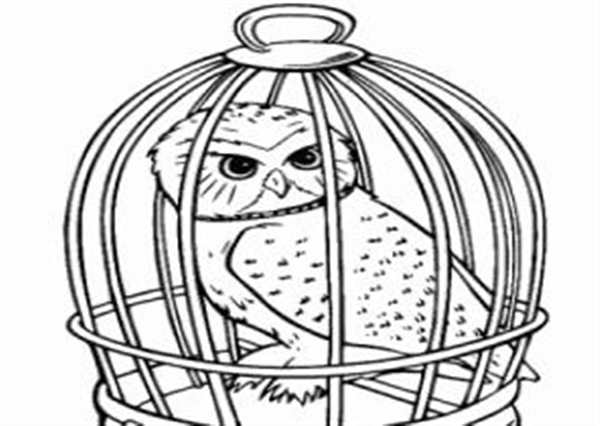 Раскраска Букля из Гарри Поттера