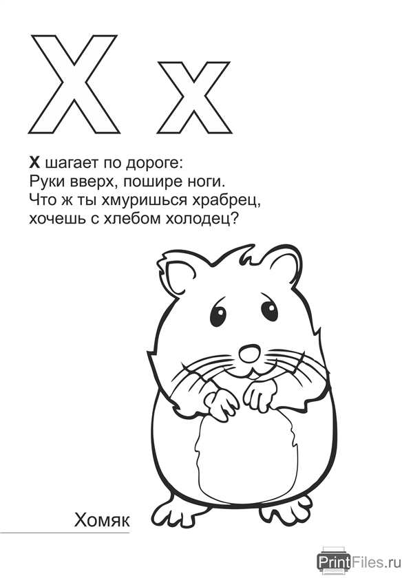 Раскраска хомяк