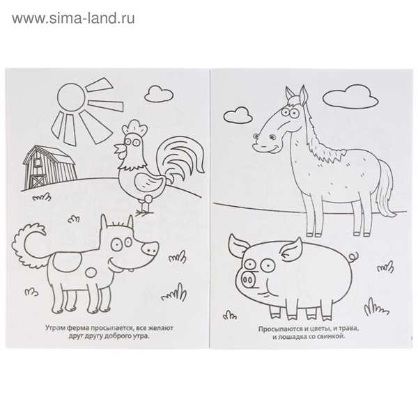 Раскраска свинья