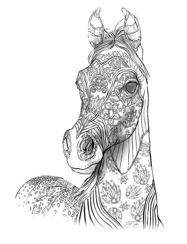 Рисунки для раскраски