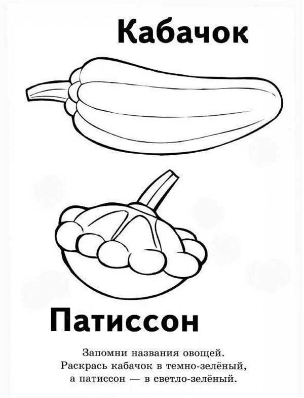 Раскраска овощи кабачок