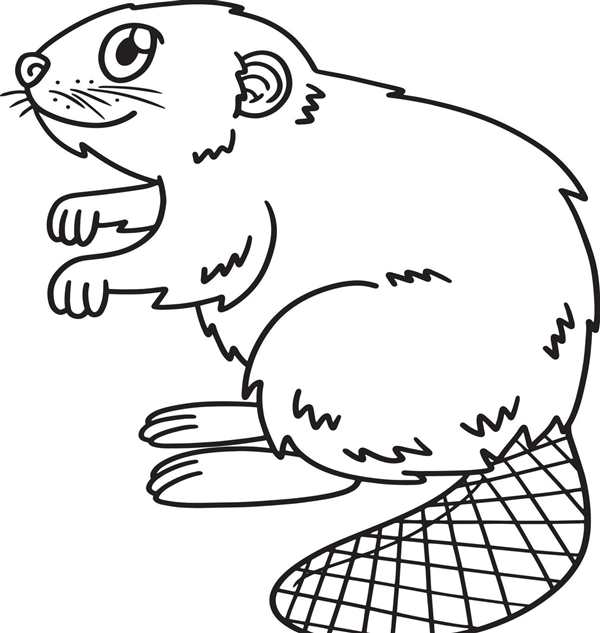 Рисунок бобра