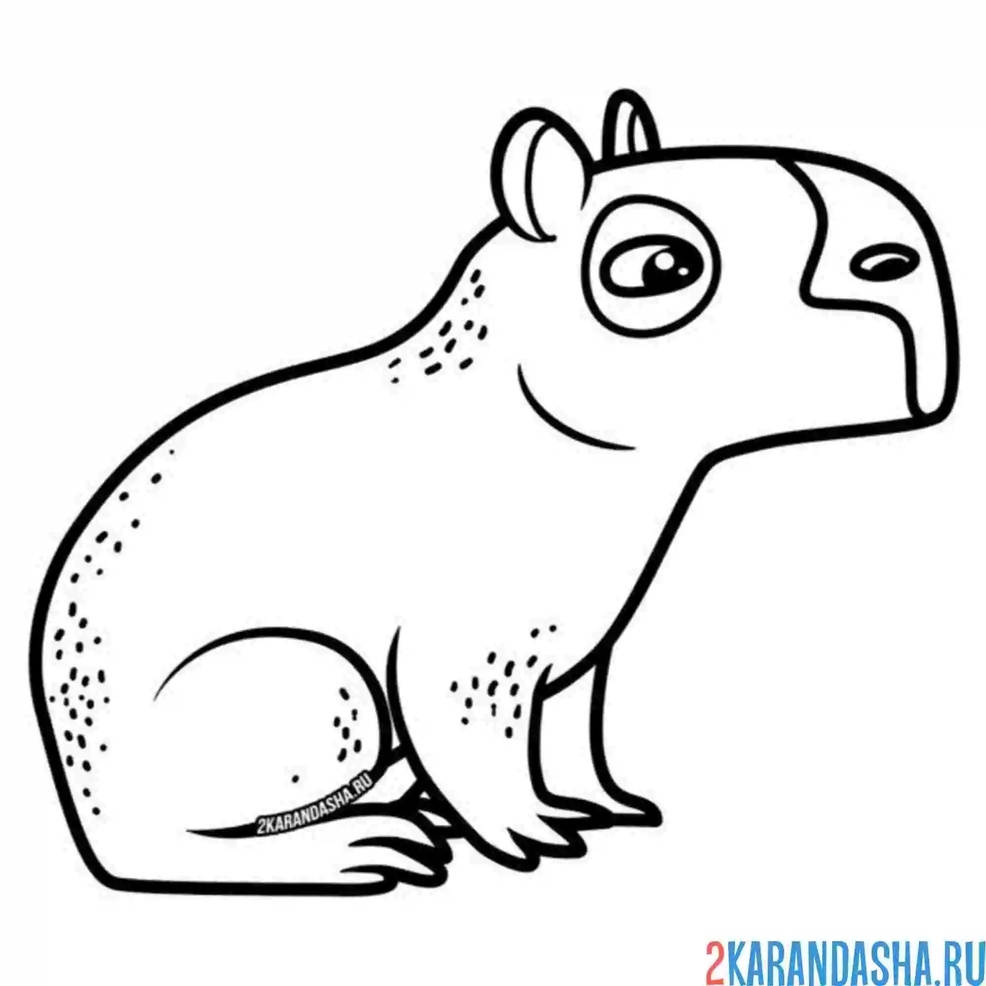 Капибара