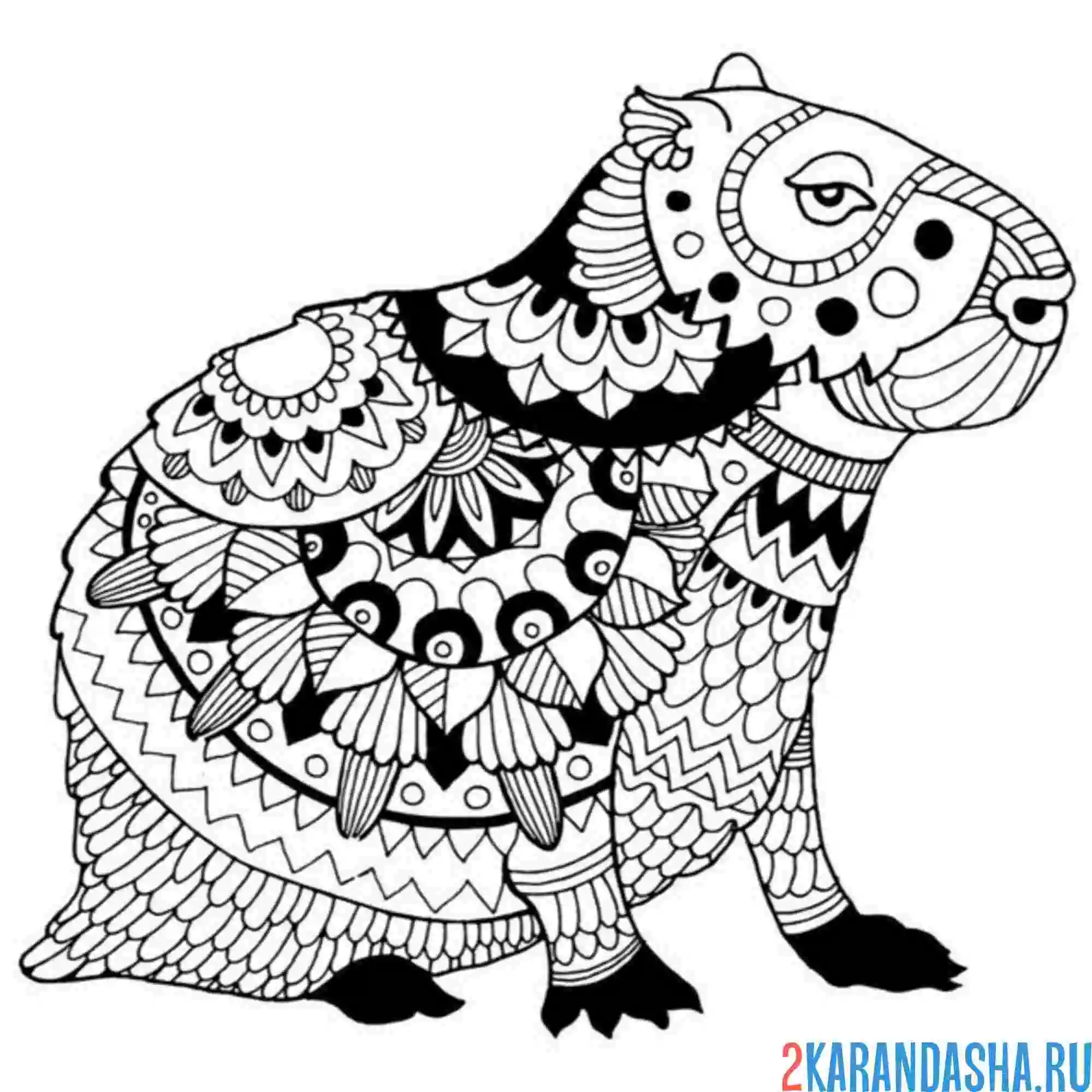 Чёрно белая капибара