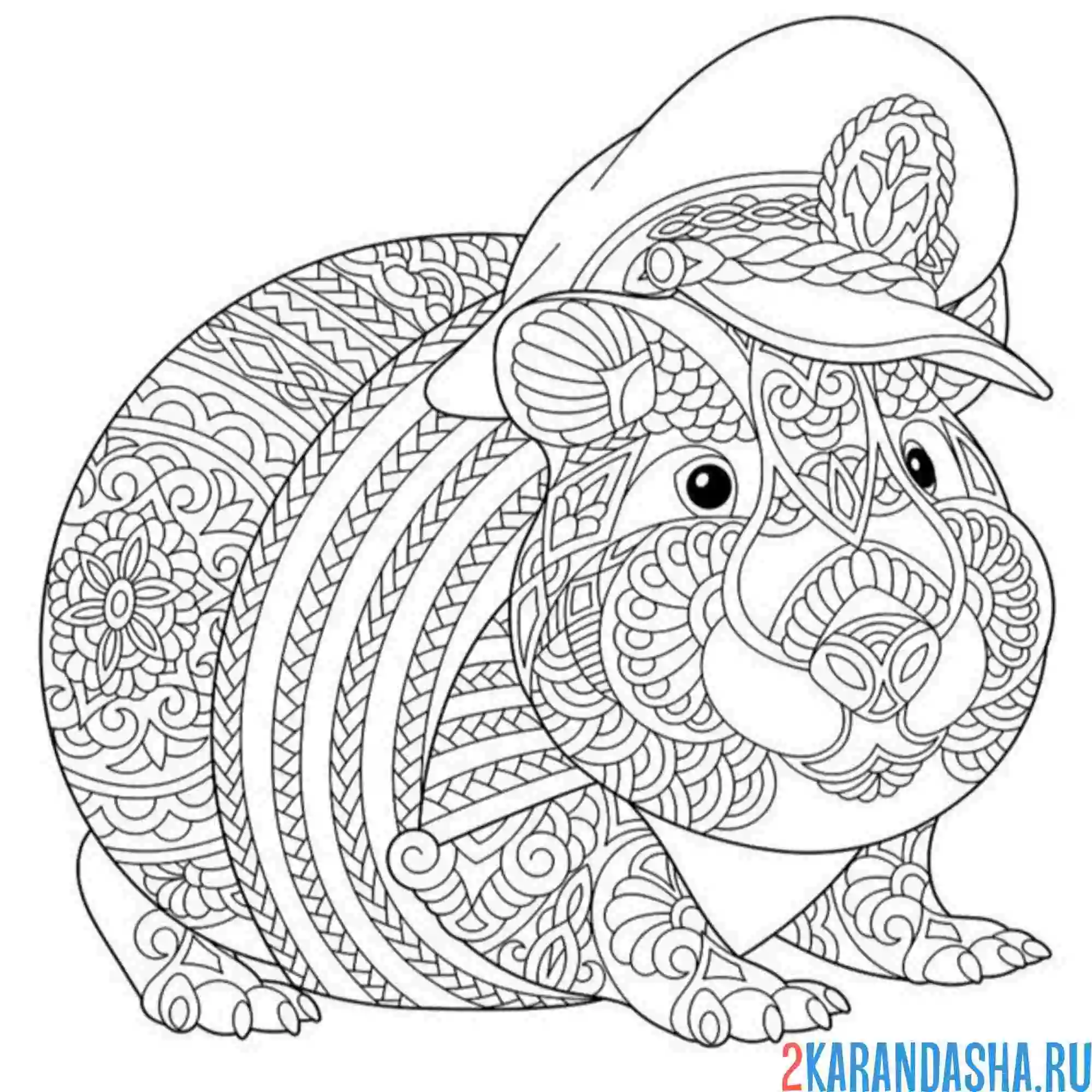 Capybara с апельсином на голове