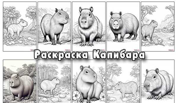 Раскраска антистресс капибара
