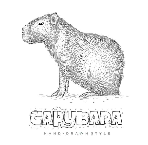 Капибара